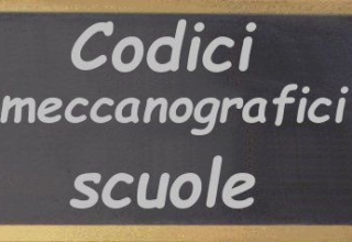 dimensionamento e nuovi codici scuole Scarpellino