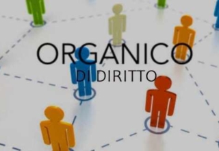 organico di diritto Scarpellino