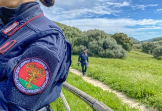 Carabinieri tutela forestale