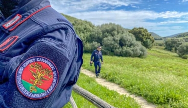 Carabinieri tutela forestale