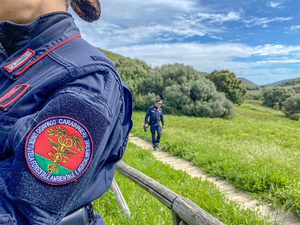 Carabinieri tutela forestale
